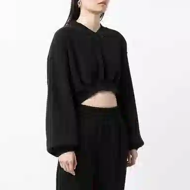 alexander wang VLogo