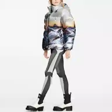 Louis Vuitton SS22 Scenic Print Down Jacket Gray