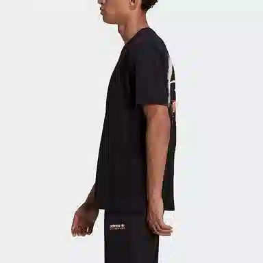 adidas originals Mtn Spr Tee LogoT