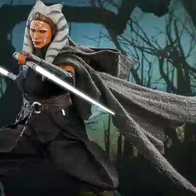 Hot Toys 16 dx20 28.5cm