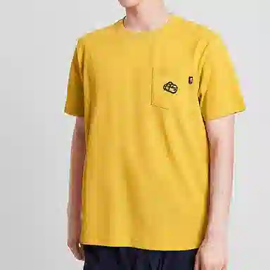 THE NORTH FACE T