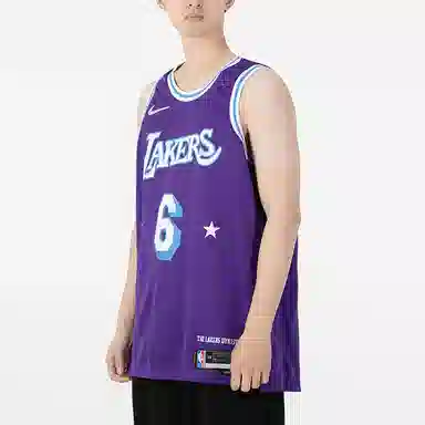 Nike NBA Los Angeles Lakers LeBron James 6 Jersey