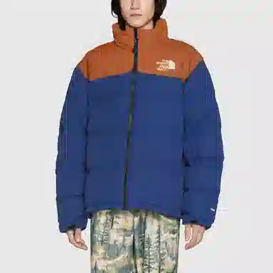 GUCCI x THE NORTH FACE FW22 Logo