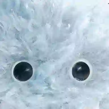 POP MART INSTINCTOY FLUFFY Plush Keychain Series 2 Blind Box