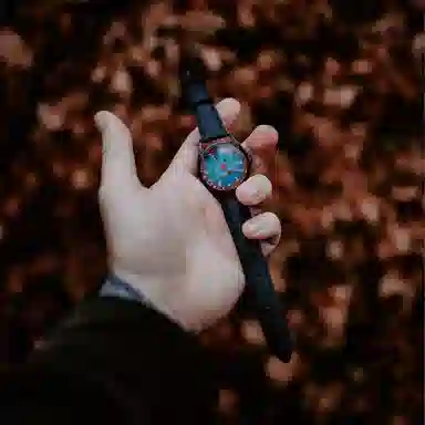 Mr. Jones Watches A-perfectly-useless-morning