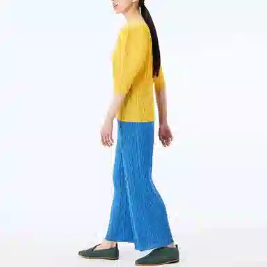 PLEATS PLEASE ISSEY MIYAKE FW22