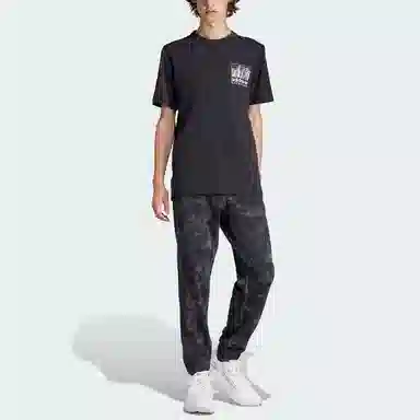adidas originals Adventure Graphic Tee LogoT