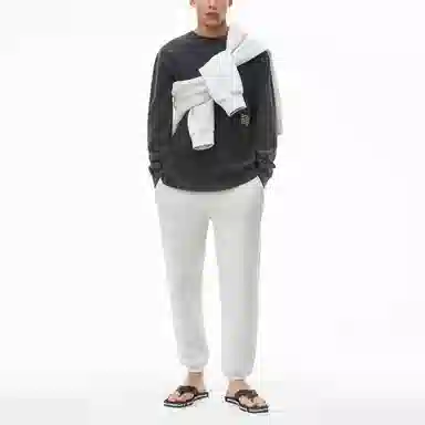 alexander wang Logot