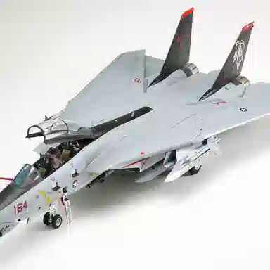 148 F-14D 39.8cm 8cm