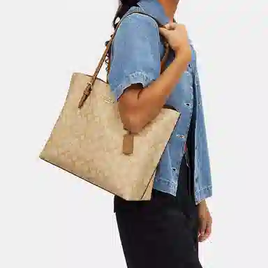 COACH Mollie 34 Tote