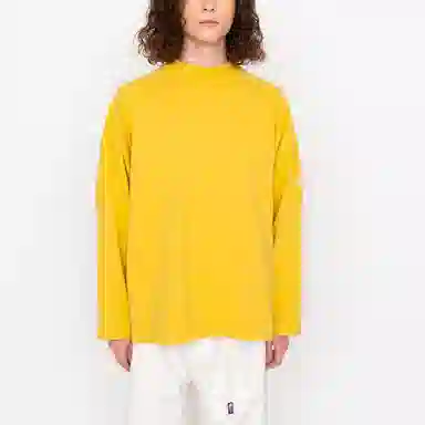 THE NORTH FACE PURPLE LABEL T