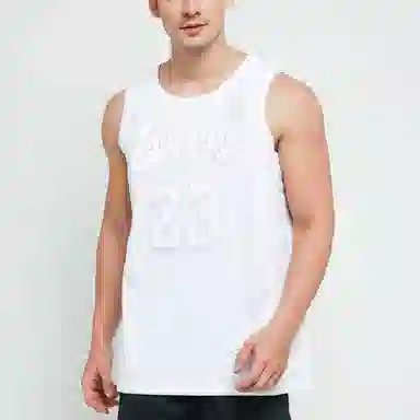 Nike NBA Jersey LeBron James Lakers MVP 23