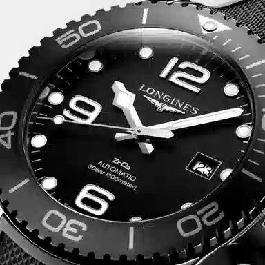 LONGINES 300 43mm L3.784.4.56.9