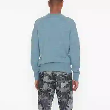DIOR x peter doig Logo