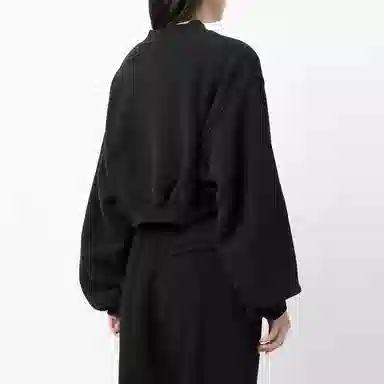 alexander wang VLogo