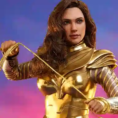 Hot Toys 16 5.0 30.5cm