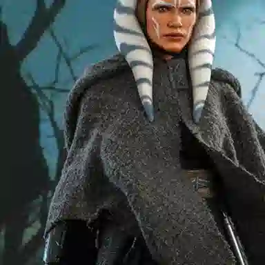 Hot Toys 16 dx21 28.5cm