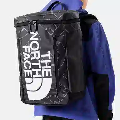 THE NORTH FACE Logo