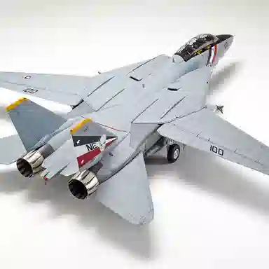 148 F-14D 39.8cm 8cm
