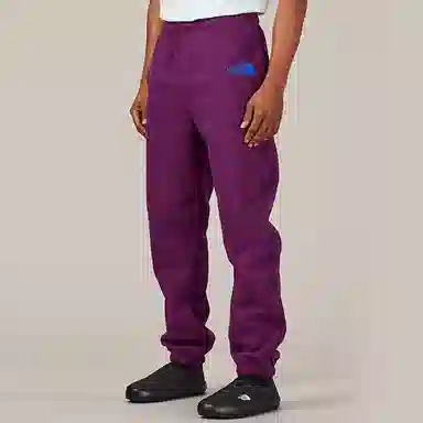 The North Face x KAWS Urban Exploration Joggers Purple