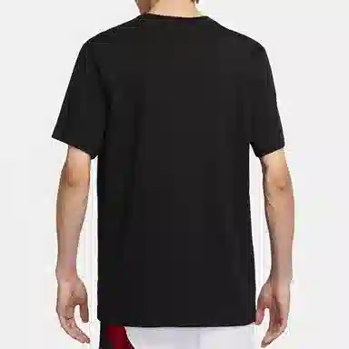 Jordan Air Wings T
