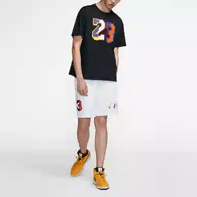 Jordan 23T