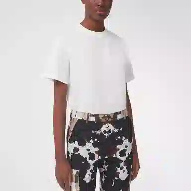 Burberry SS21 T