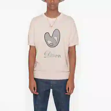 DIOR T