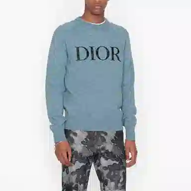 DIOR x peter doig Logo