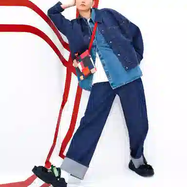 Levis Pioneer Series