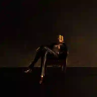 MegaHouse portrait of pirates soc 14cm