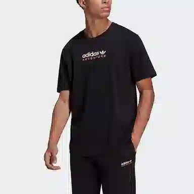 adidas originals Mtn Spr Tee LogoT
