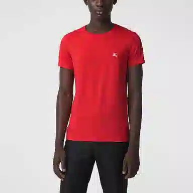 Burberry T