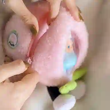 POP MART POP FRUITS WOW 8