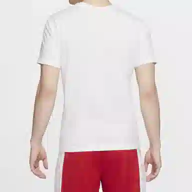 Jordan Legacy AJ11 T