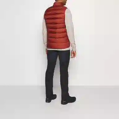 Arcteryx Piedmont Vest SS21