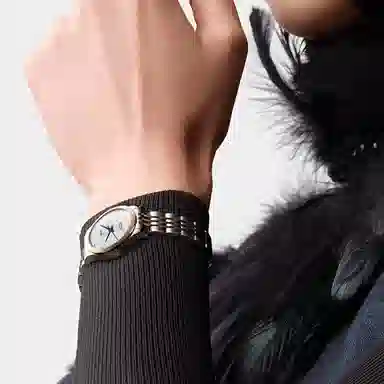 LONGINES 30mm L2.321.5.87.7