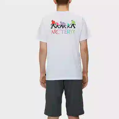 Arcteryx x Bigfoot SV Polychrome T