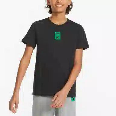 Puma x Minecraft