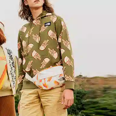 THE NORTH FACE Vanlife Logo