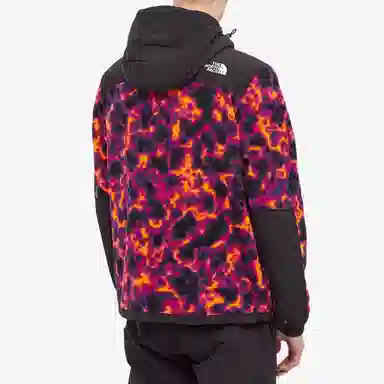 The North Face Printed Denali 2 Anorak