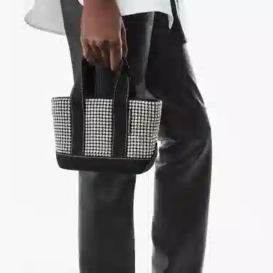 Alexander Wang Cruiser