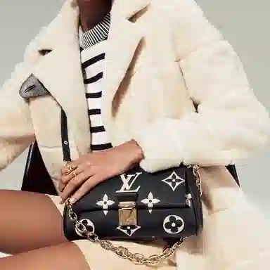 Louis Vuitton Favorite