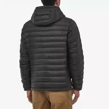 patagonia Down Sweater 800