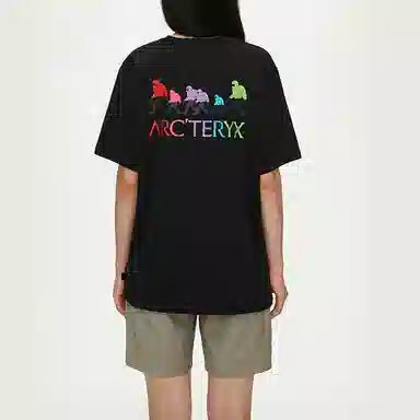 Arcteryx x Bigfoot SV Polychrome T