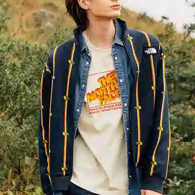 The North Face Vanlife