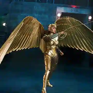 Hot Toys 16 5.0 30.5cm