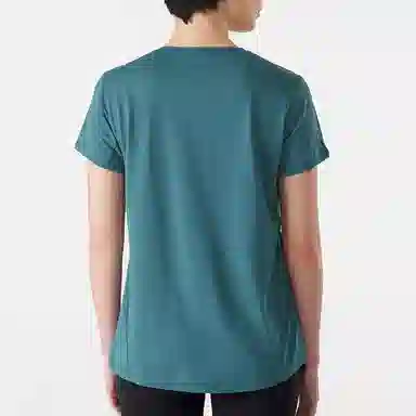 Arcteryx T