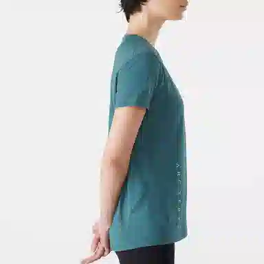 Arcteryx T