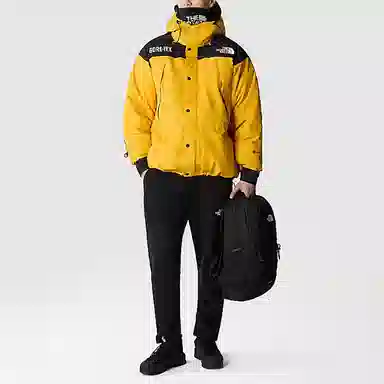 The North Face GTX Mountain Jacket